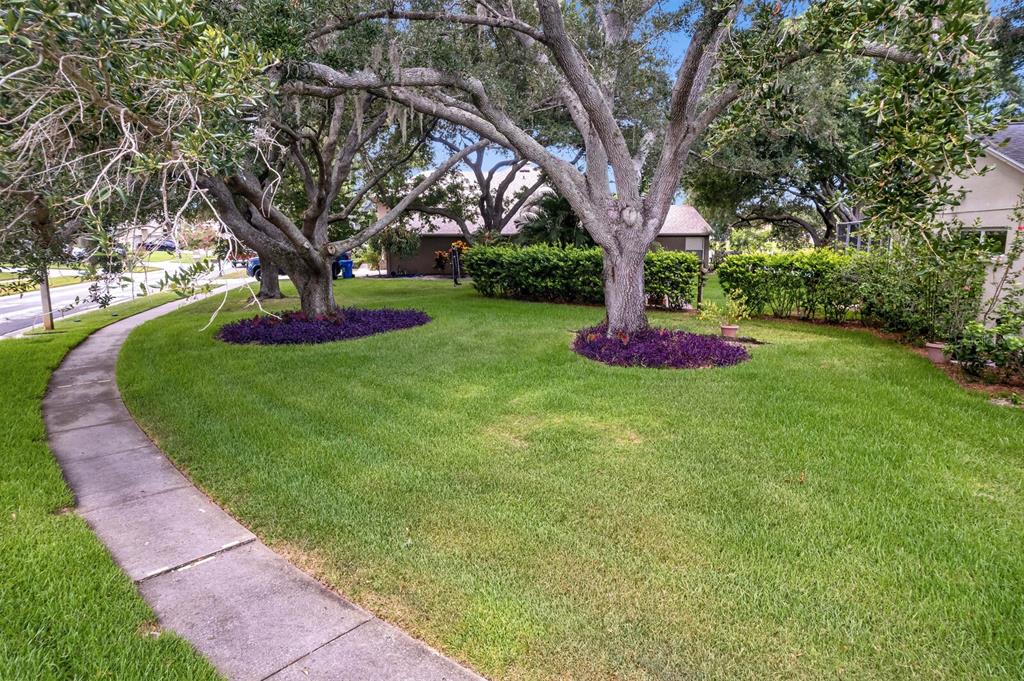 8412 Ridgebrook Circle Odessa, FL 33556 - Photo 80 of 87
