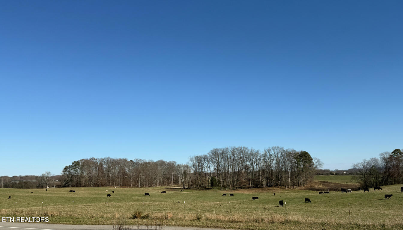2580 Reed Springs Road Sweetwater, TN 37874 - Photo 3 of 20 Farmalnd across the street