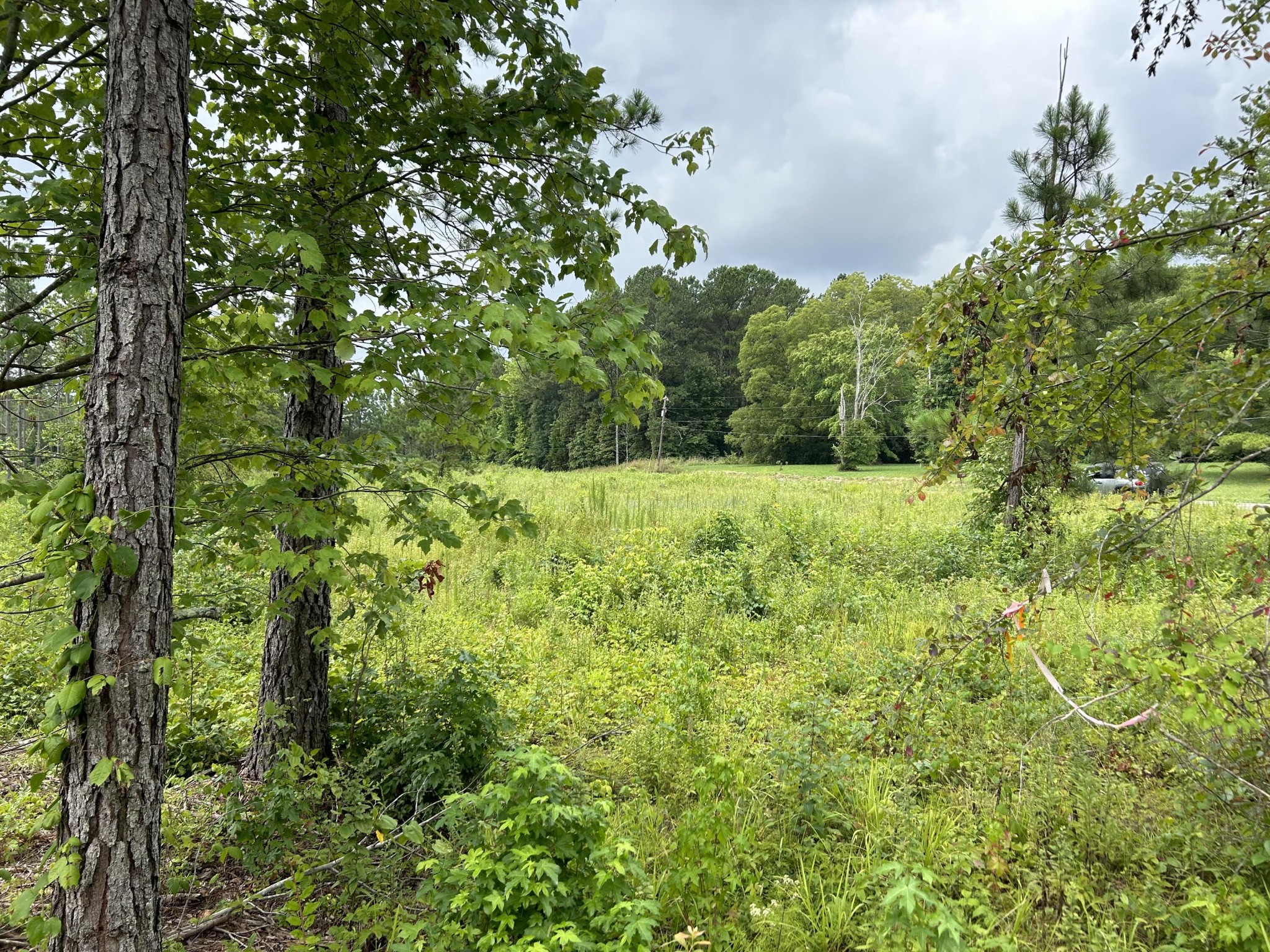 11 Hughes Lake Road Southeast Cleveland, TN 37323 - Photo 6 of 10