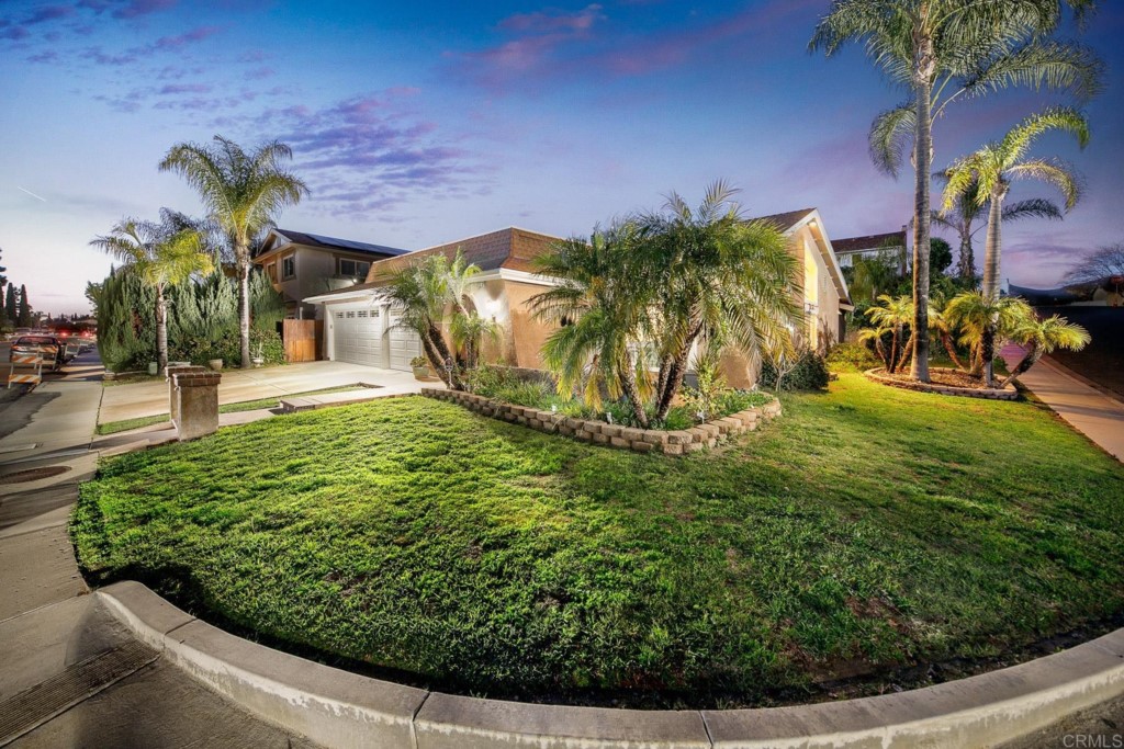 a view of a yard with plants