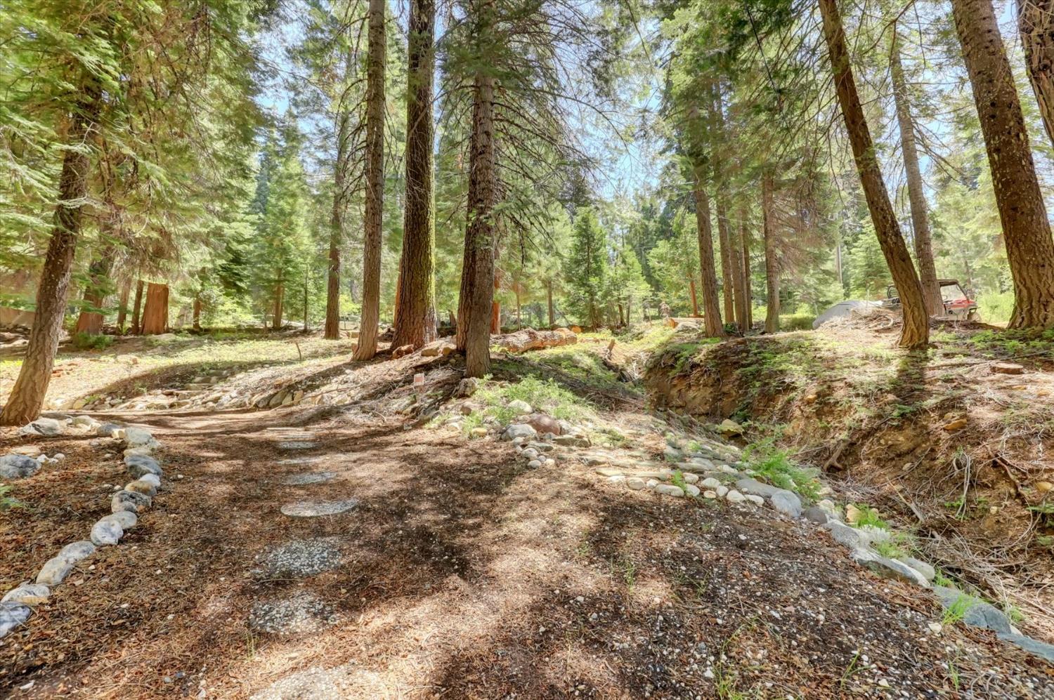 351 Silver Tip Springs Road Strawberry Valley, CA 95981 - Photo 43 of 57