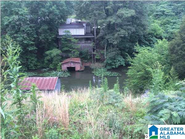 9590 Burney Camp Road Bessemer, AL 35023 - Photo 1 of 1