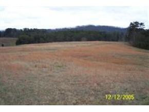 260 Summit Hill Road Bulls Gap, TN 37711 - Photo 4 of 5 Photo 4