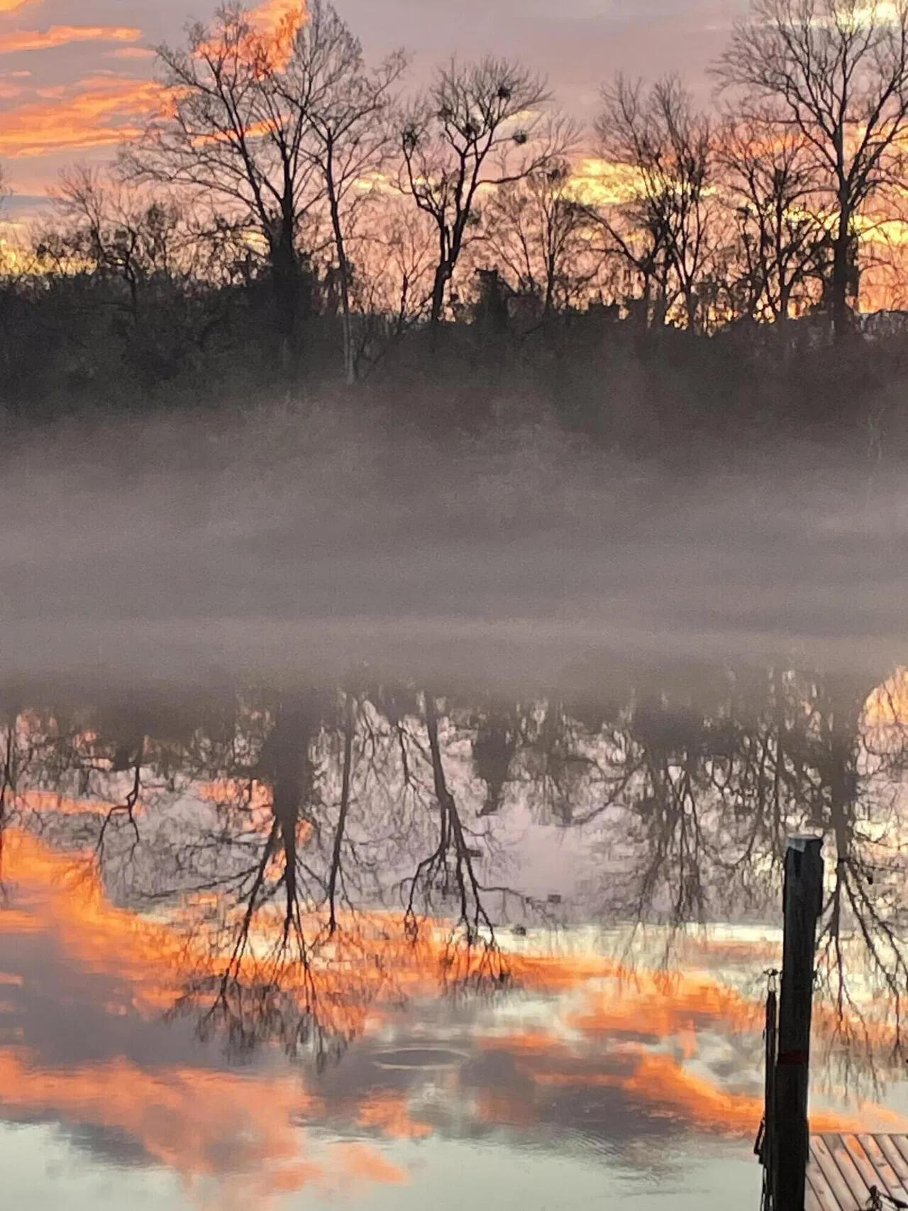 708 Gum Swamp Road Jackson, SC 29831 - Photo 68 of 68 063