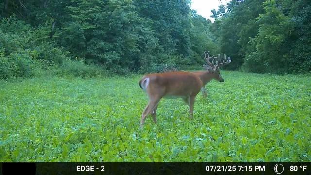 Northwest Waller Road Richmond, MO 64085 - Photo 68 of 80