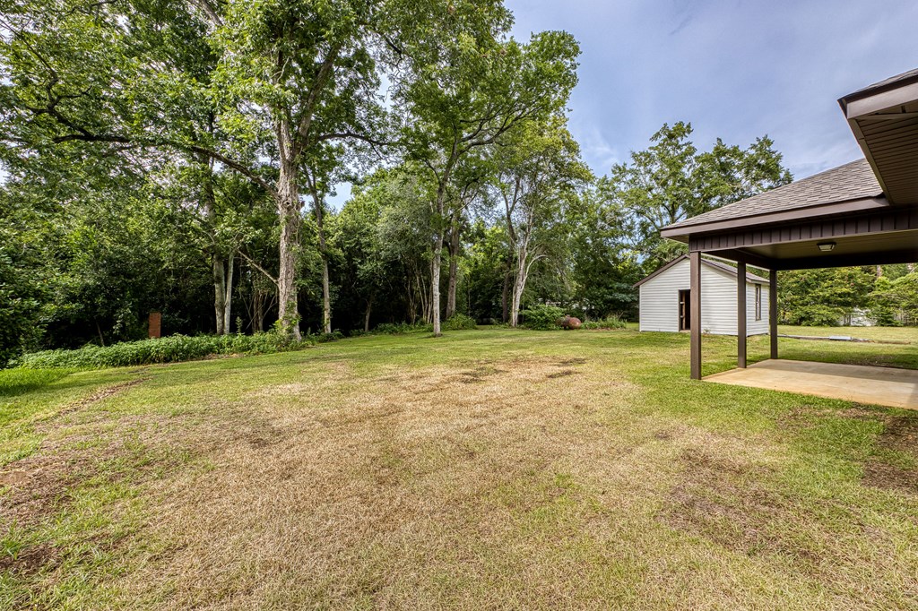 2535 Ashford Road Ashford, AL 36312 - Photo 33 of 41
