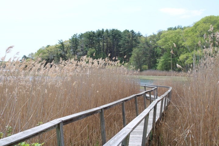 5 R Brooks Road Gloucester, MA 01930 - Photo 39 of 41