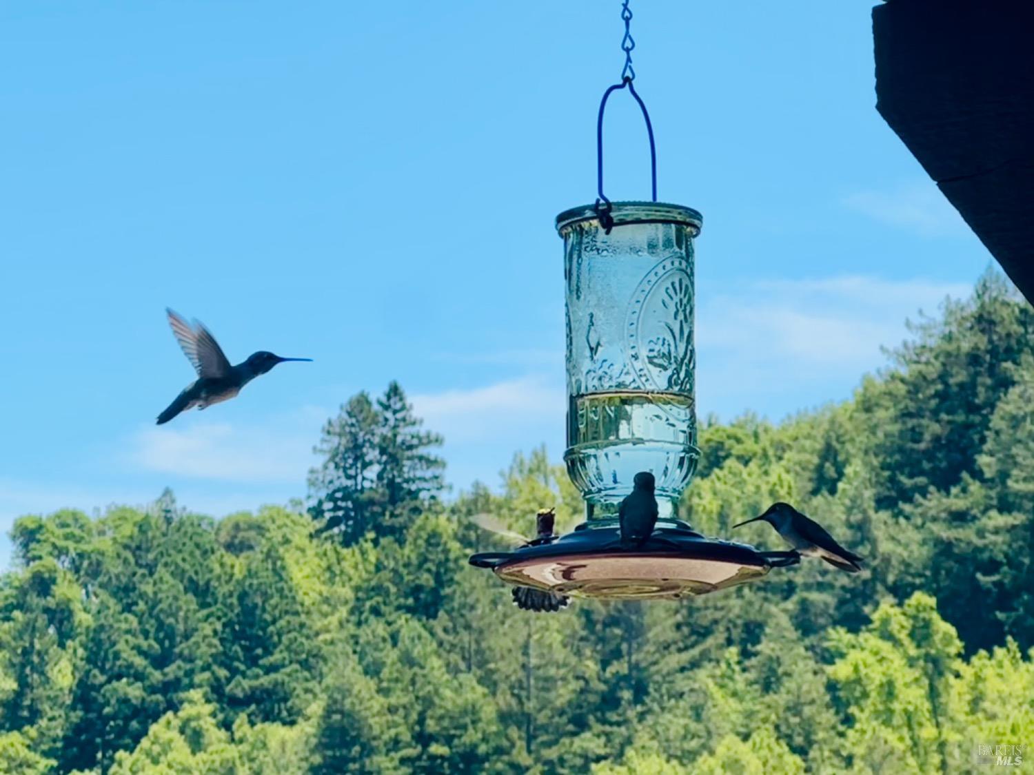 600 Murray Avenue Kentfield, CA 94904 - Photo 15 of 59 a view of a water fountain in the middle of a building