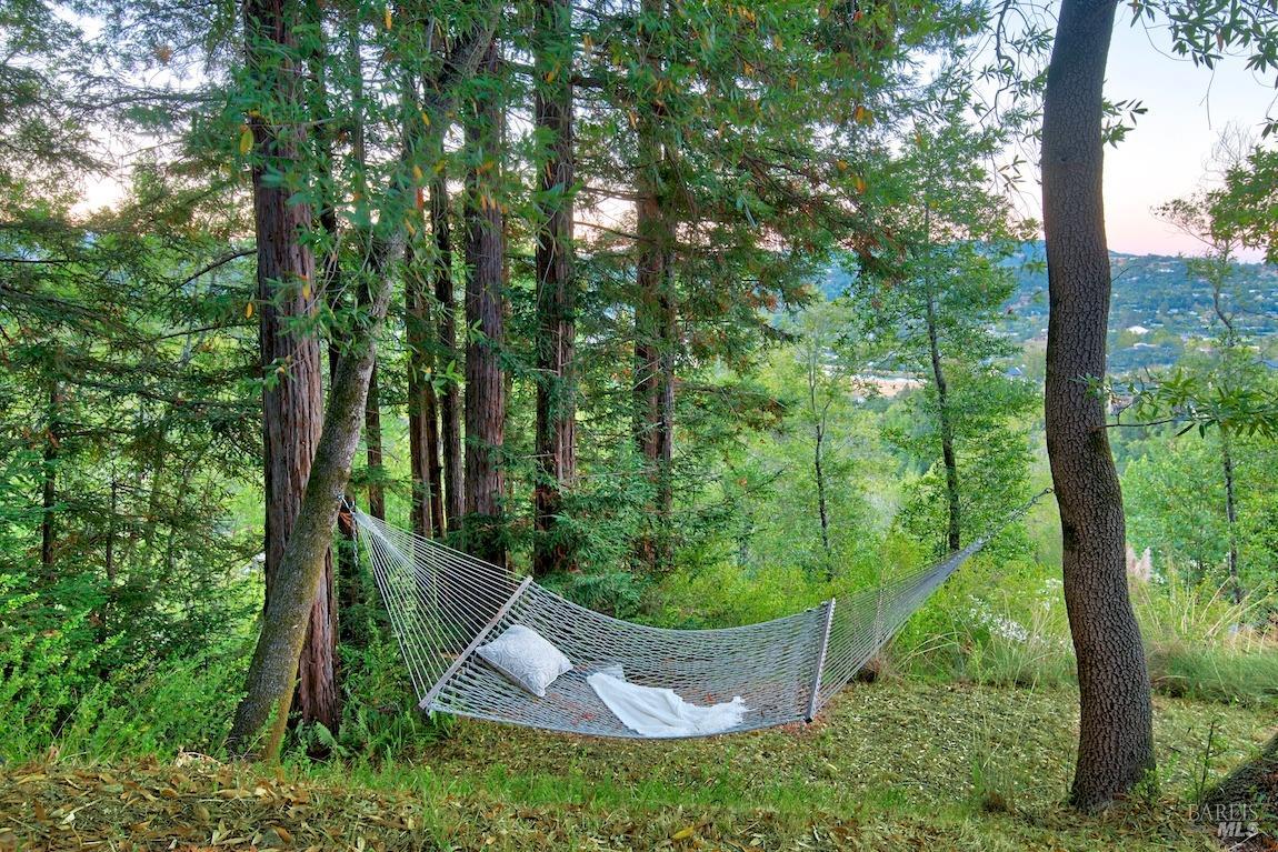 600 Murray Avenue Kentfield, CA 94904 - Photo 51 of 59 a garden view with a fountain