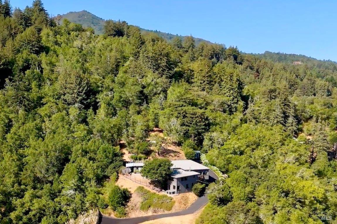 600 Murray Avenue Kentfield, CA 94904 - Photo 59 of 59 a view of a forest with a sink