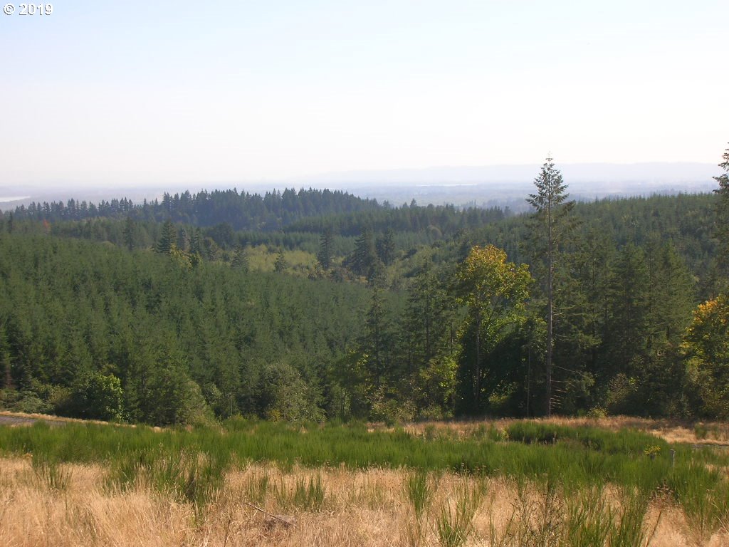Robinette Rd Street, Unit 6 St. Helens, OR 97051 - Photo 3 of 7 Gallery Image 3