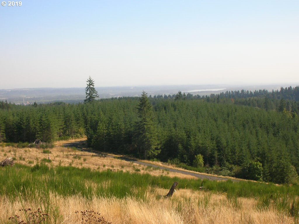 Robinette Rd Street, Unit 6 St. Helens, OR 97051 - Photo 4 of 7 Gallery Image 4