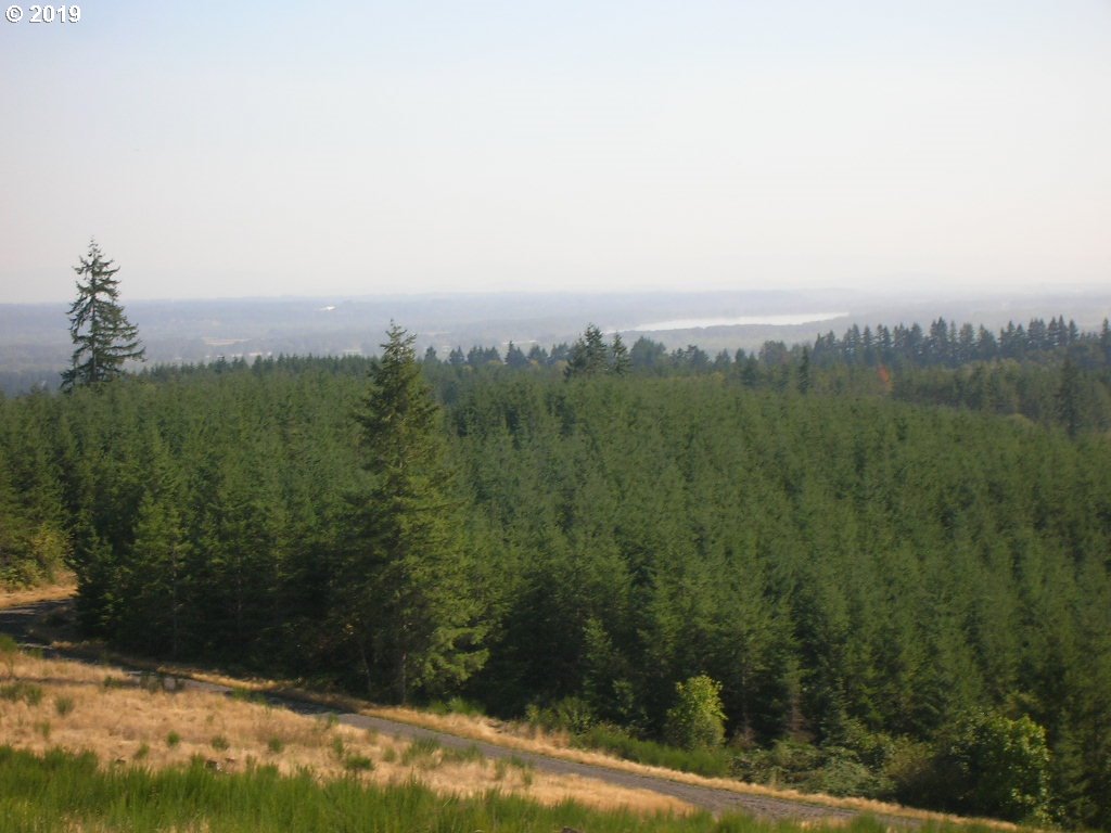 Robinette Rd Street, Unit 6 St. Helens, OR 97051 - Photo 5 of 7 Gallery Image 5