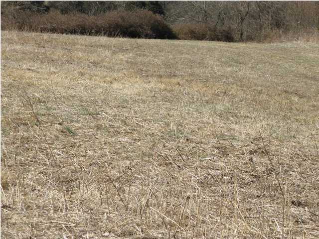 10 Little Union Road, Unit A Fairfield, KY 40020 - Photo 2 of 3 Additional Photo