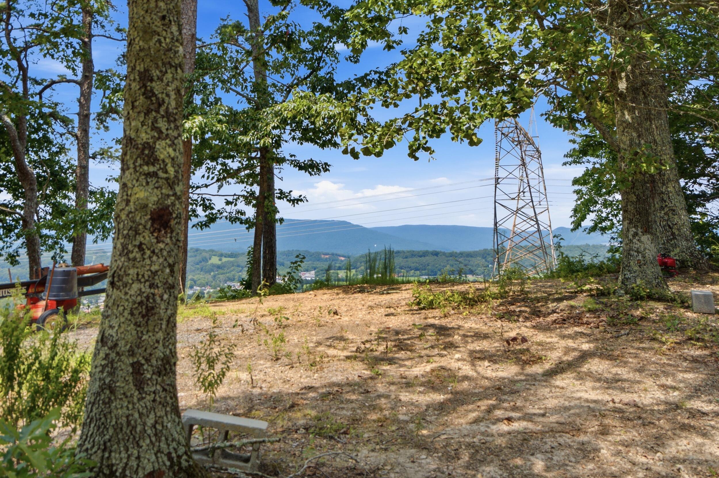 0 Pete Graham Road Jasper, TN 37347 - Photo 5 of 23 003_dsc07440
