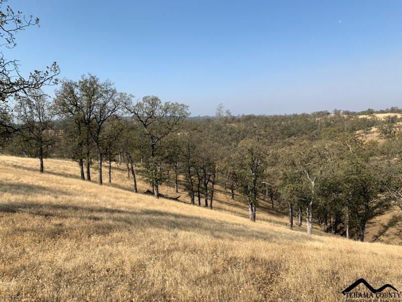 13790 Rattlesnake Ridge Road Red Bluff, CA 96080 - Photo 9 of 9 a view of road and snow