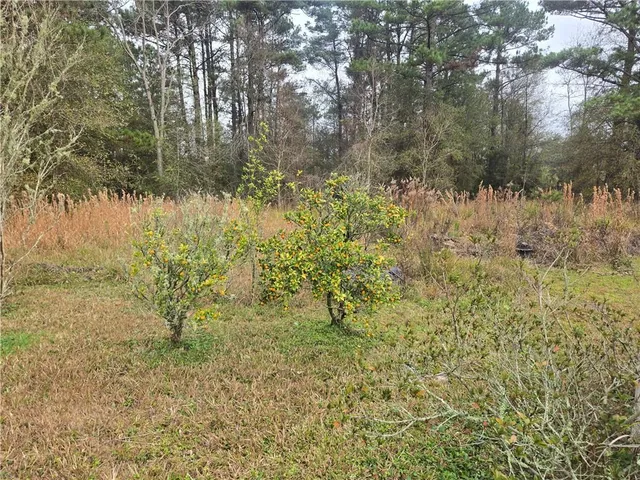 $329,000 | 21175 Marl Drive, Hammond, LA 70403