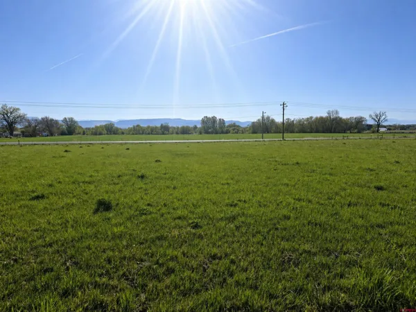 a view of a field with an ocean