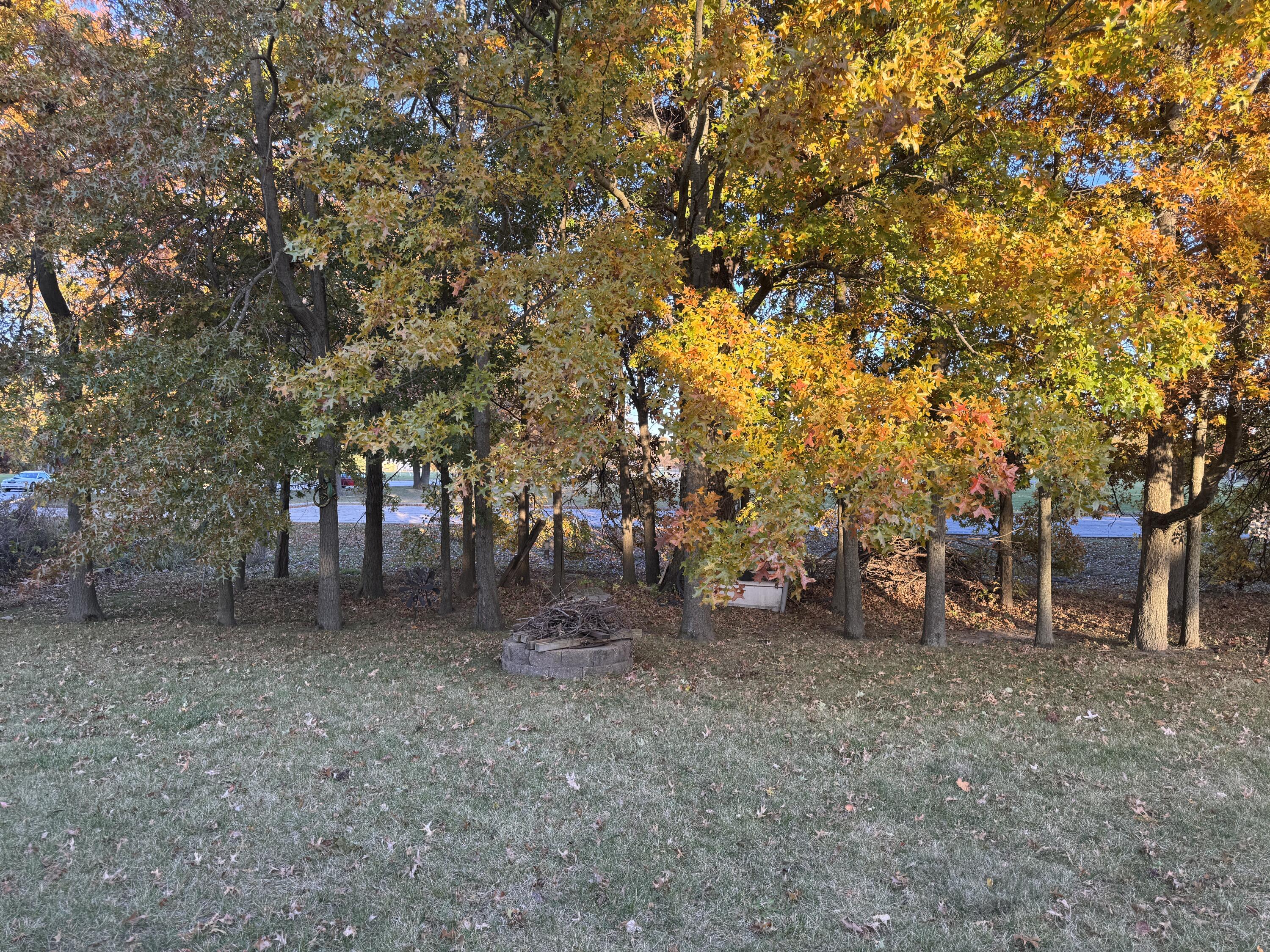 1521 Birdie Way Chesterton, IN 46304 - Photo 13 of 58 a view of a forest with trees in the background
