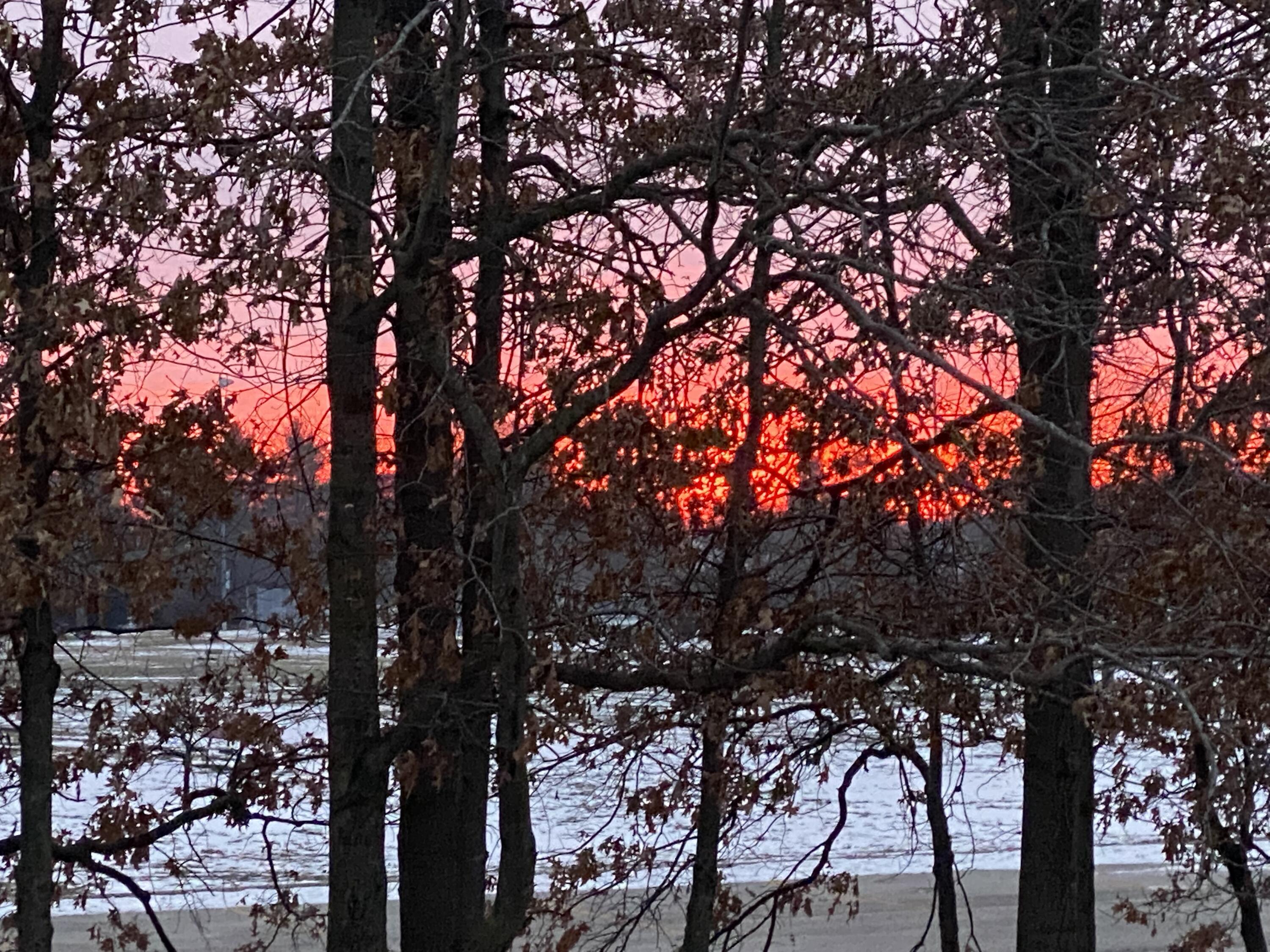 1521 Birdie Way Chesterton, IN 46304 - Photo 14 of 58 a view of tree