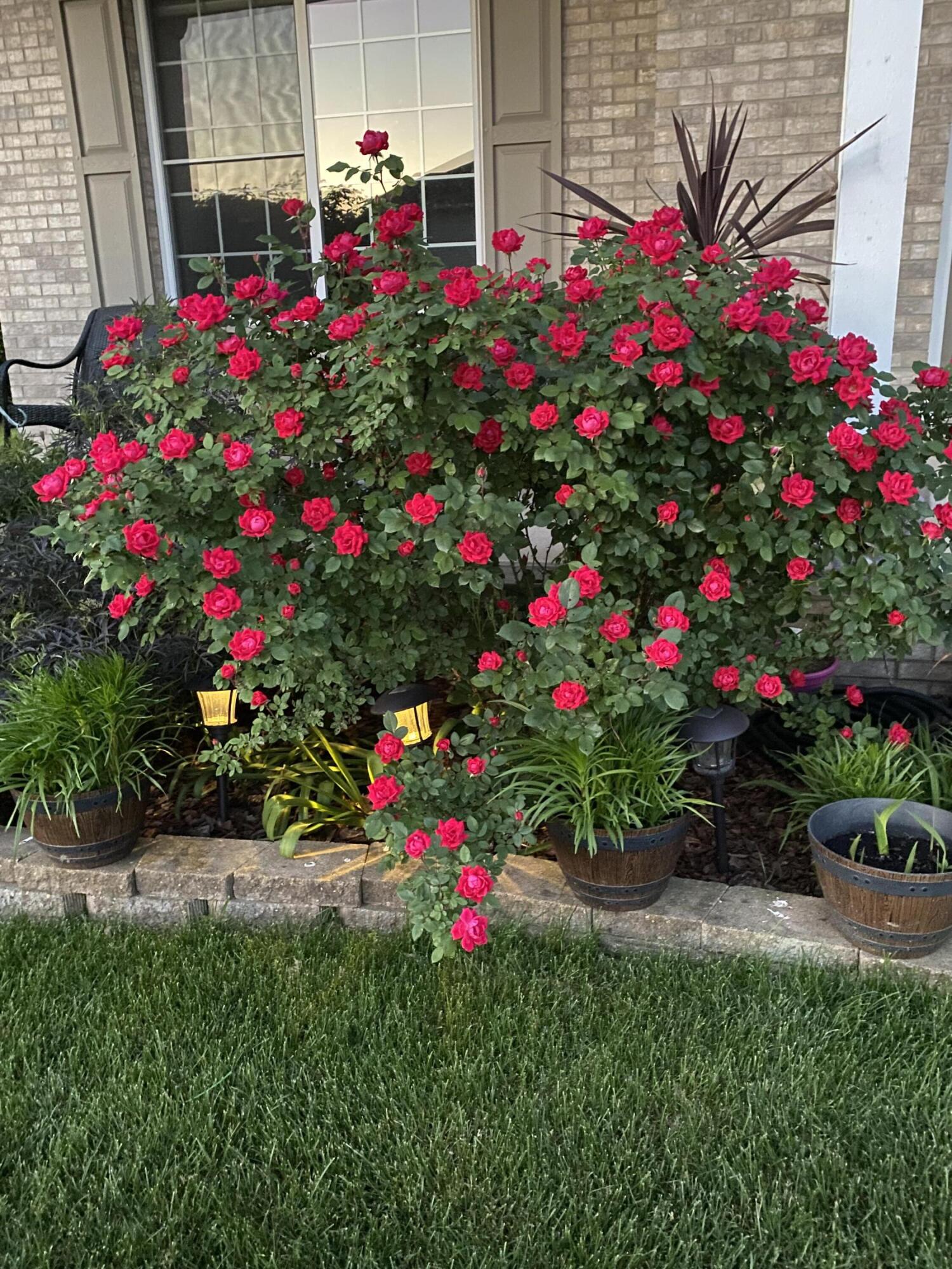 1521 Birdie Way Chesterton, IN 46304 - Photo 4 of 58 1500x2000