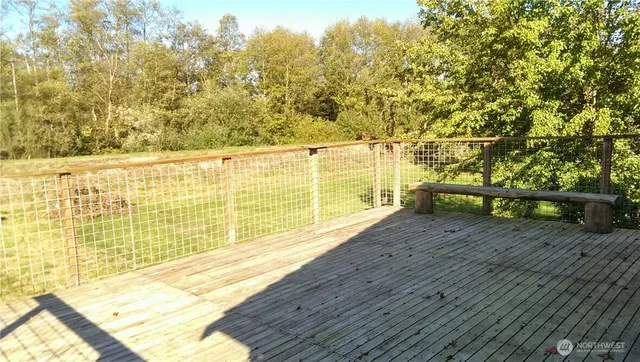 a view of a yard with tall trees