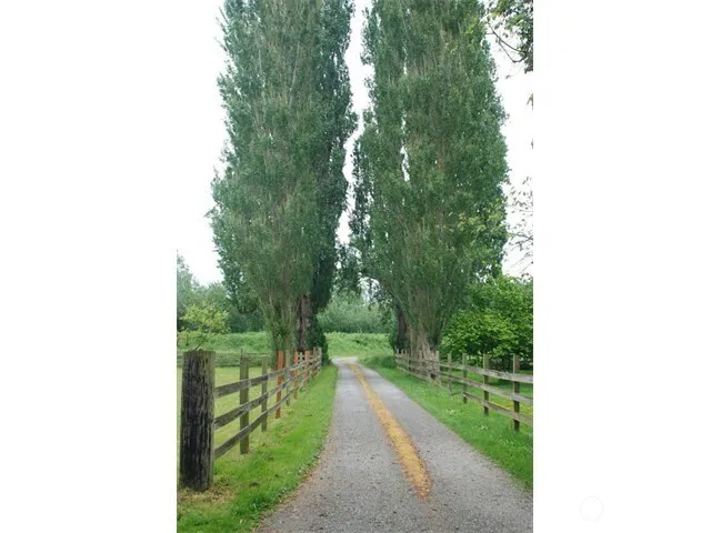 $1,650 | 23306 Marine Drive, Unit B, Stanwood, WA 98292