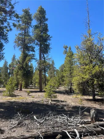 $44,000 | 266 County Road 10H-X, Twin Lakes, CO 81251