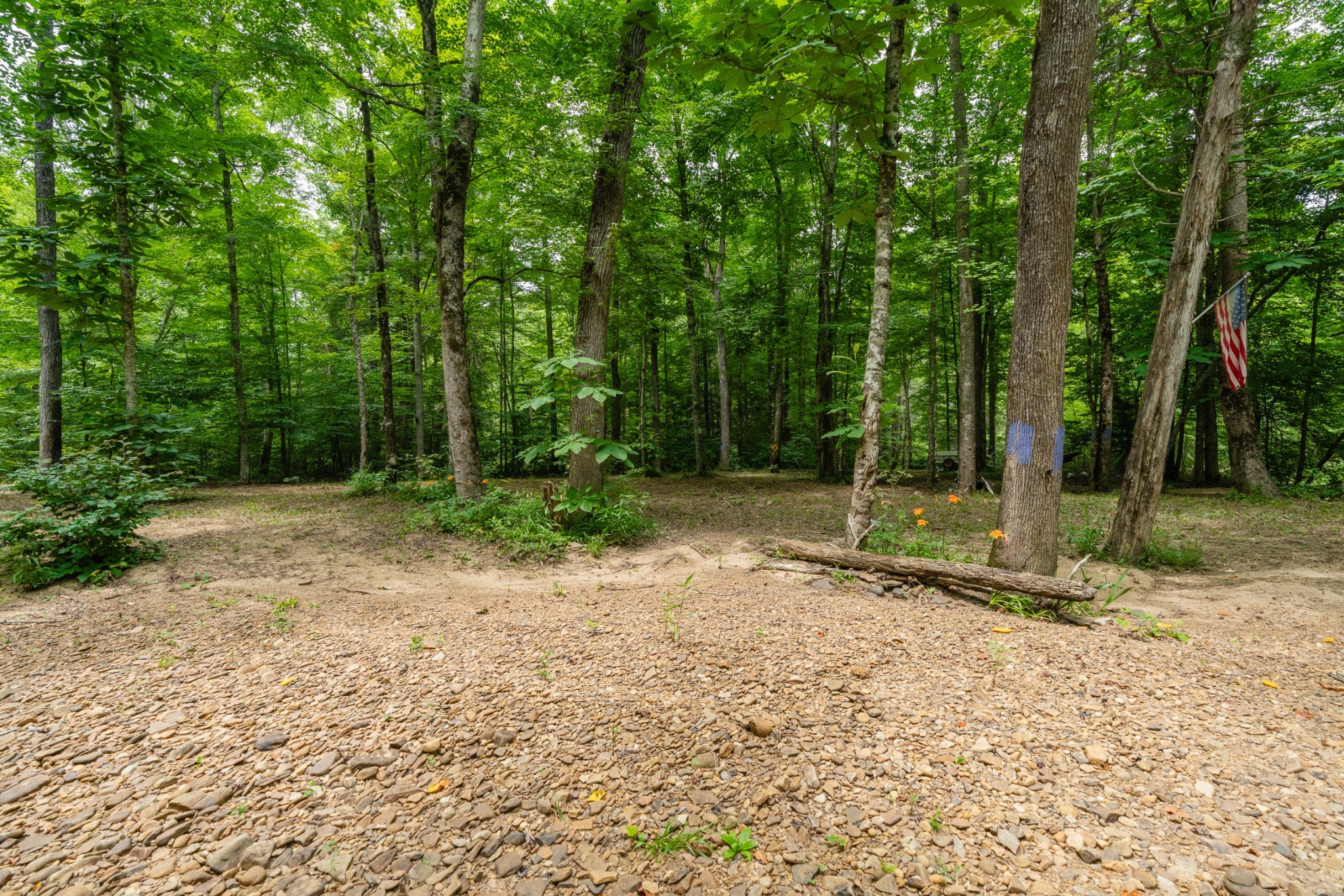 0 Steel Tram Ridge Road Monterey, TN 38574 - Photo 11 of 18 a backyard of a house with lots of green space