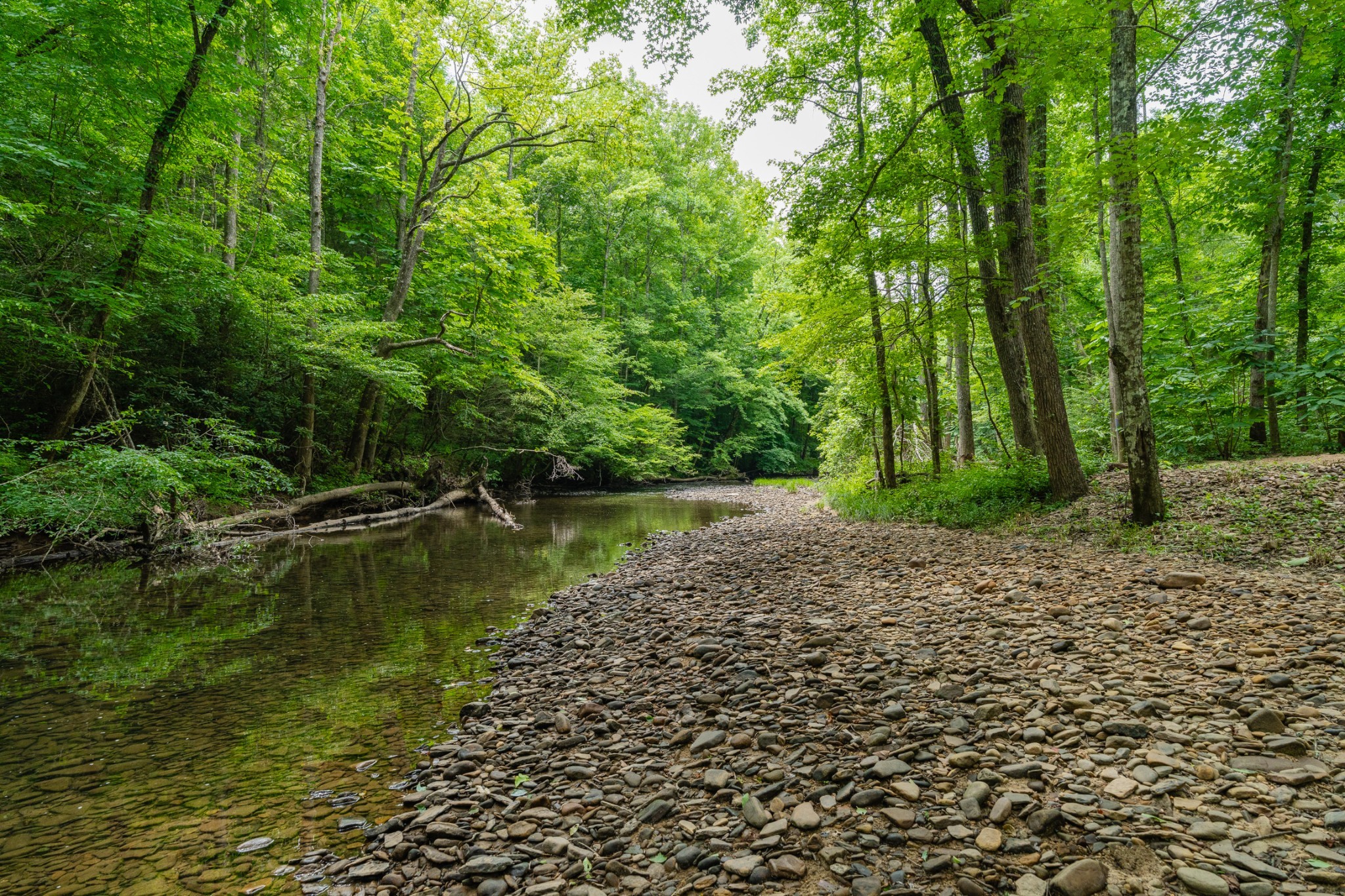 0 Steel Tram Ridge Road Monterey, TN 38574 - Photo 12 of 18 a view of lake with green space