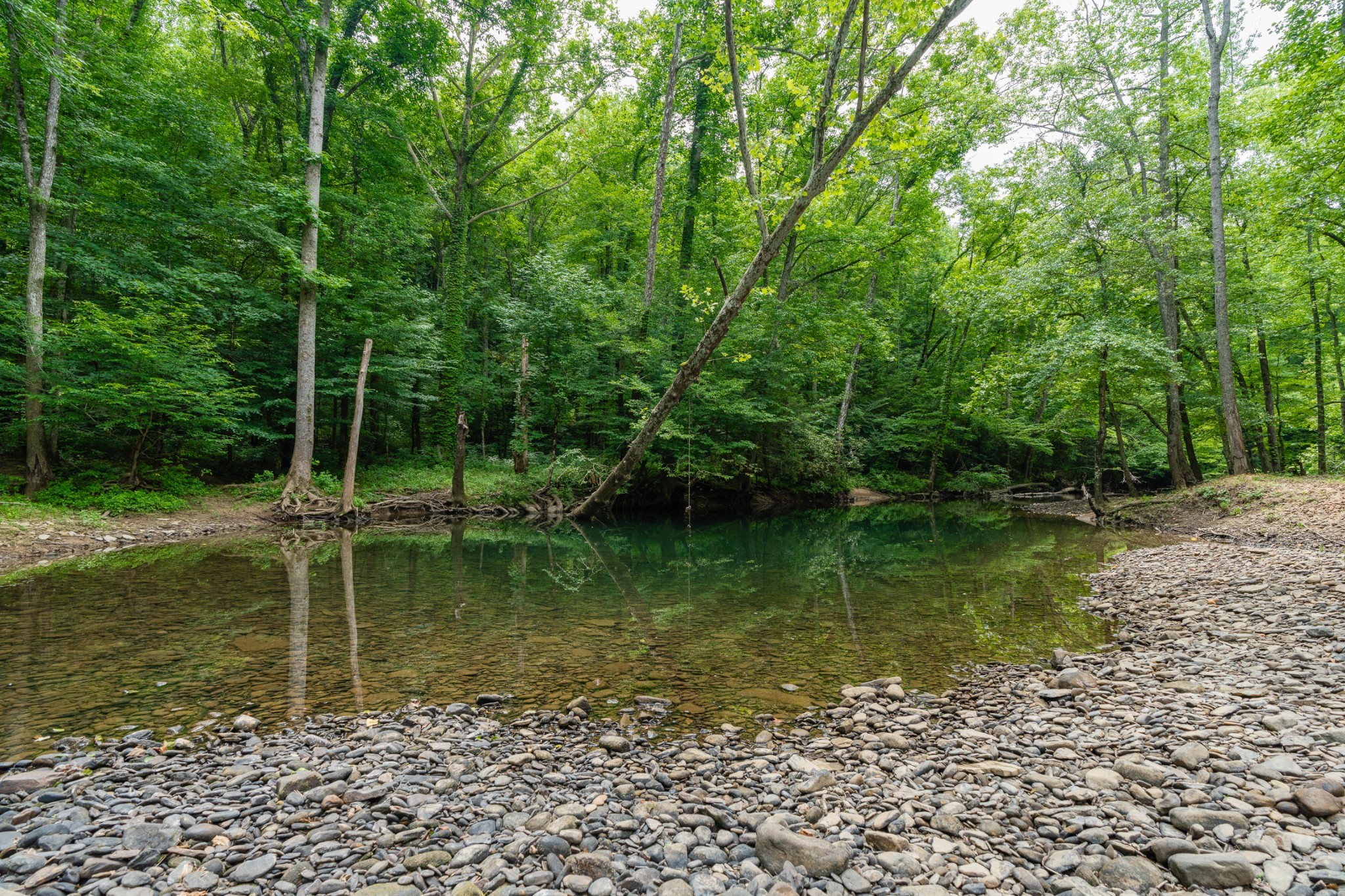 0 Steel Tram Ridge Road Monterey, TN 38574 - Photo 14 of 18 a garden view with a lake view