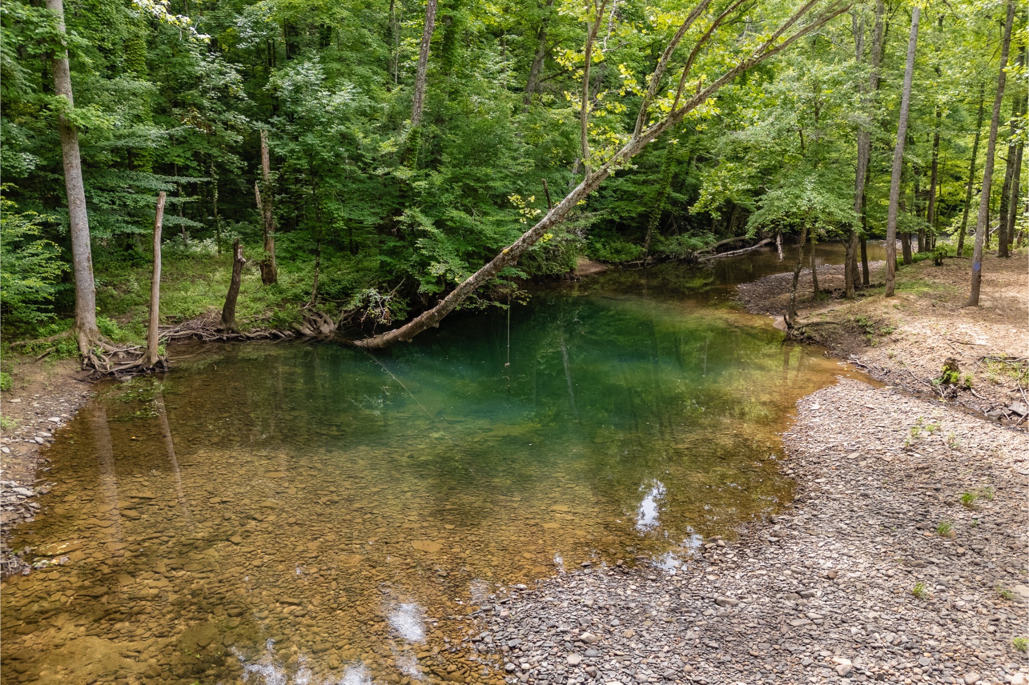 0 Steel Tram Ridge Road Monterey, TN 38574 - Photo 15 of 18 a view of a lake view