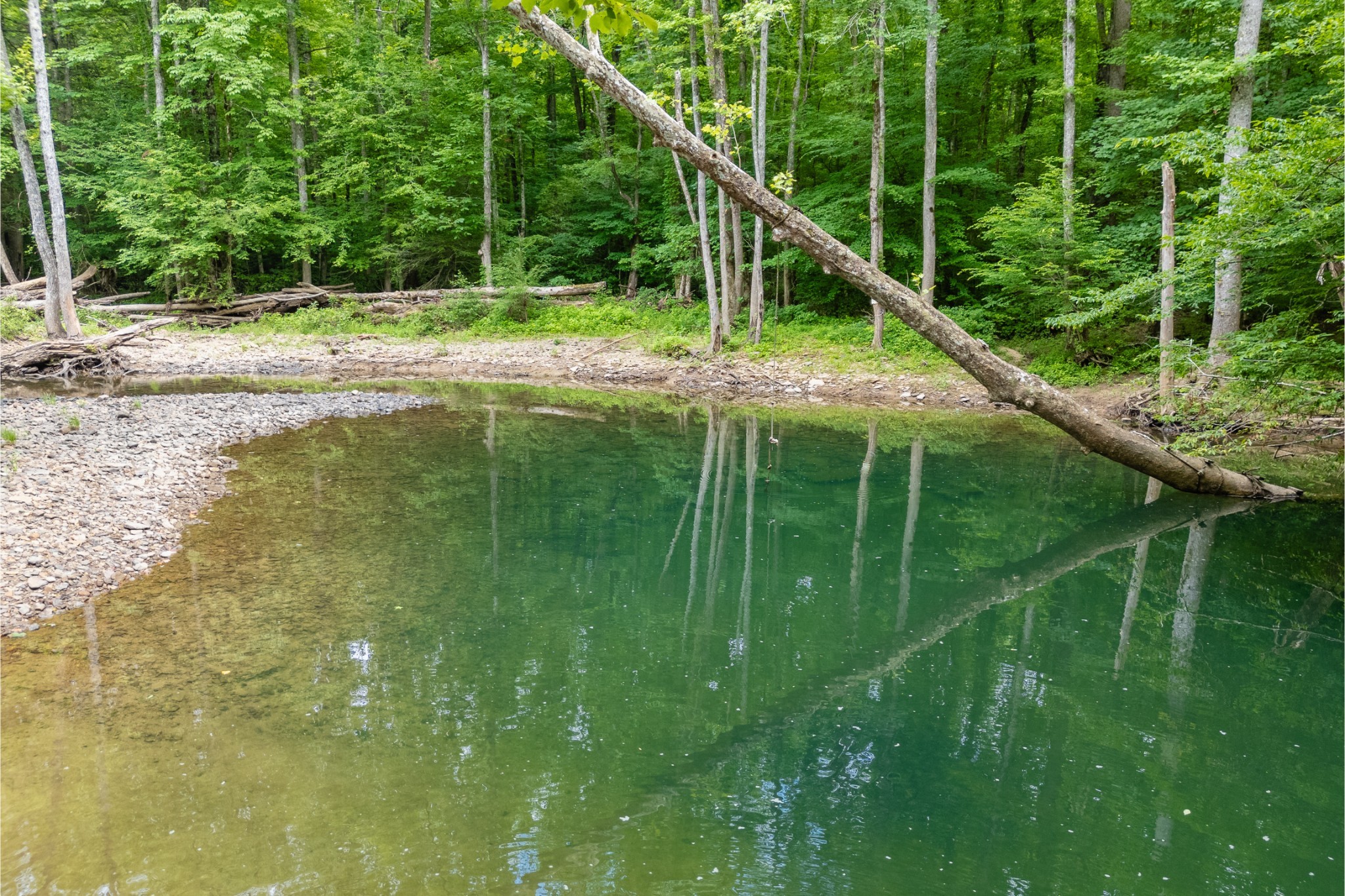 0 Steel Tram Ridge Road Monterey, TN 38574 - Photo 17 of 18 a view of a house with a backyard