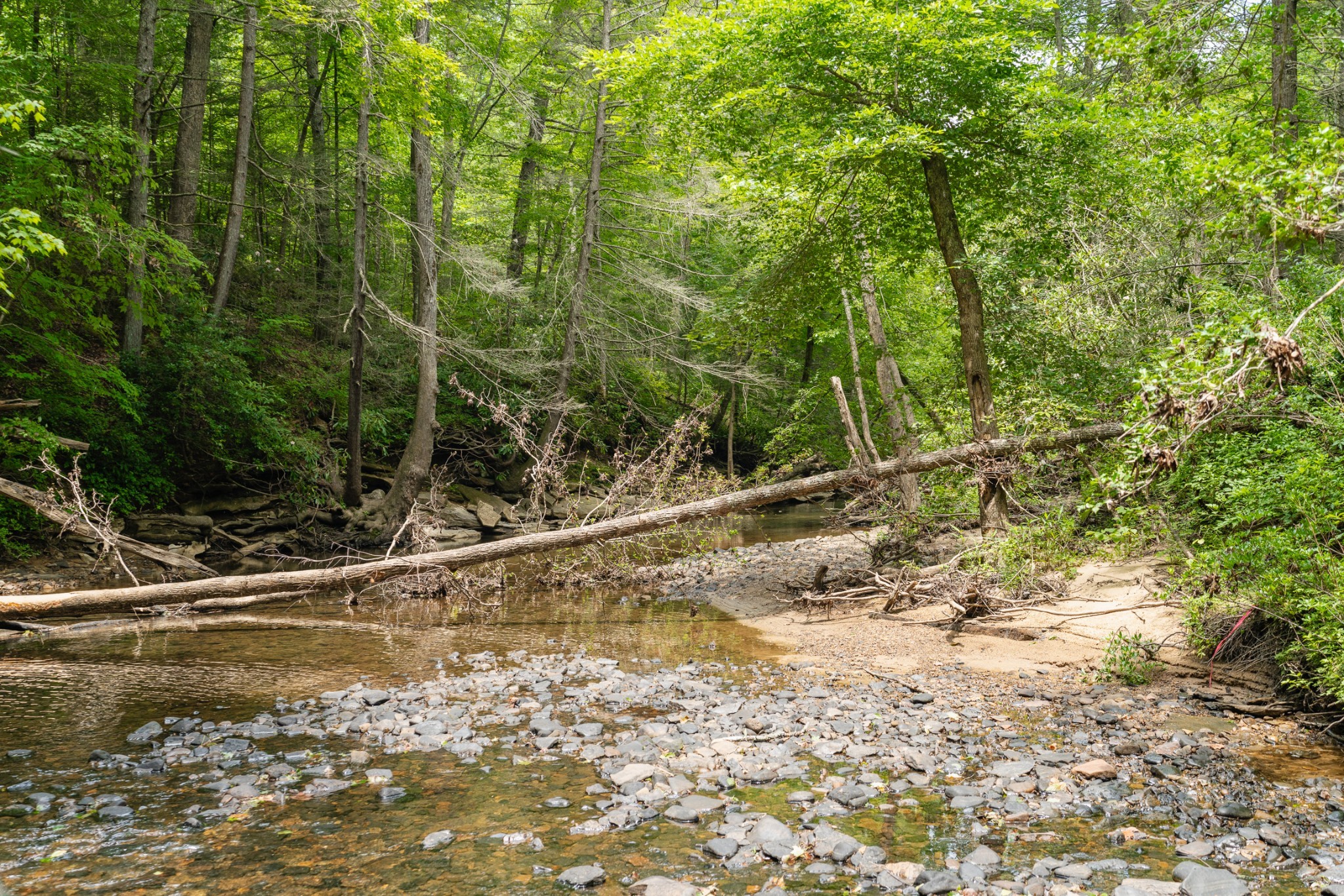 0 Steel Tram Ridge Road Monterey, TN 38574 - Photo 2 of 18 a view of a trees and yard
