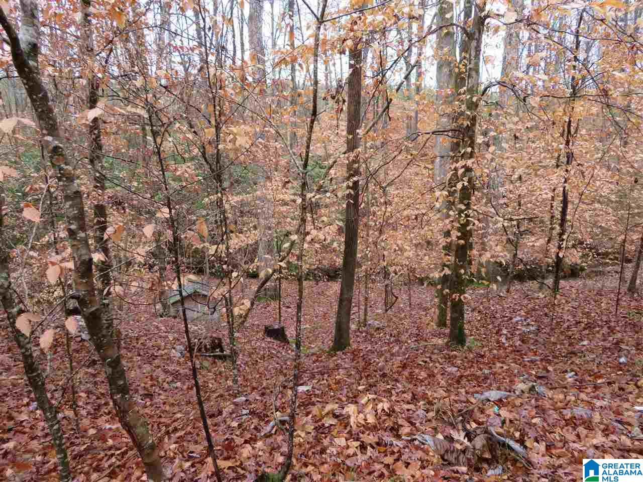 138 Cedar Grove Road West Blocton, AL 35184 - Photo 30 of 44