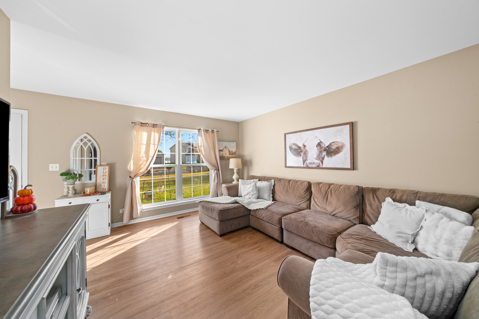 531 Alyssa Street Plano, IL 60545 - Photo 5 of 36