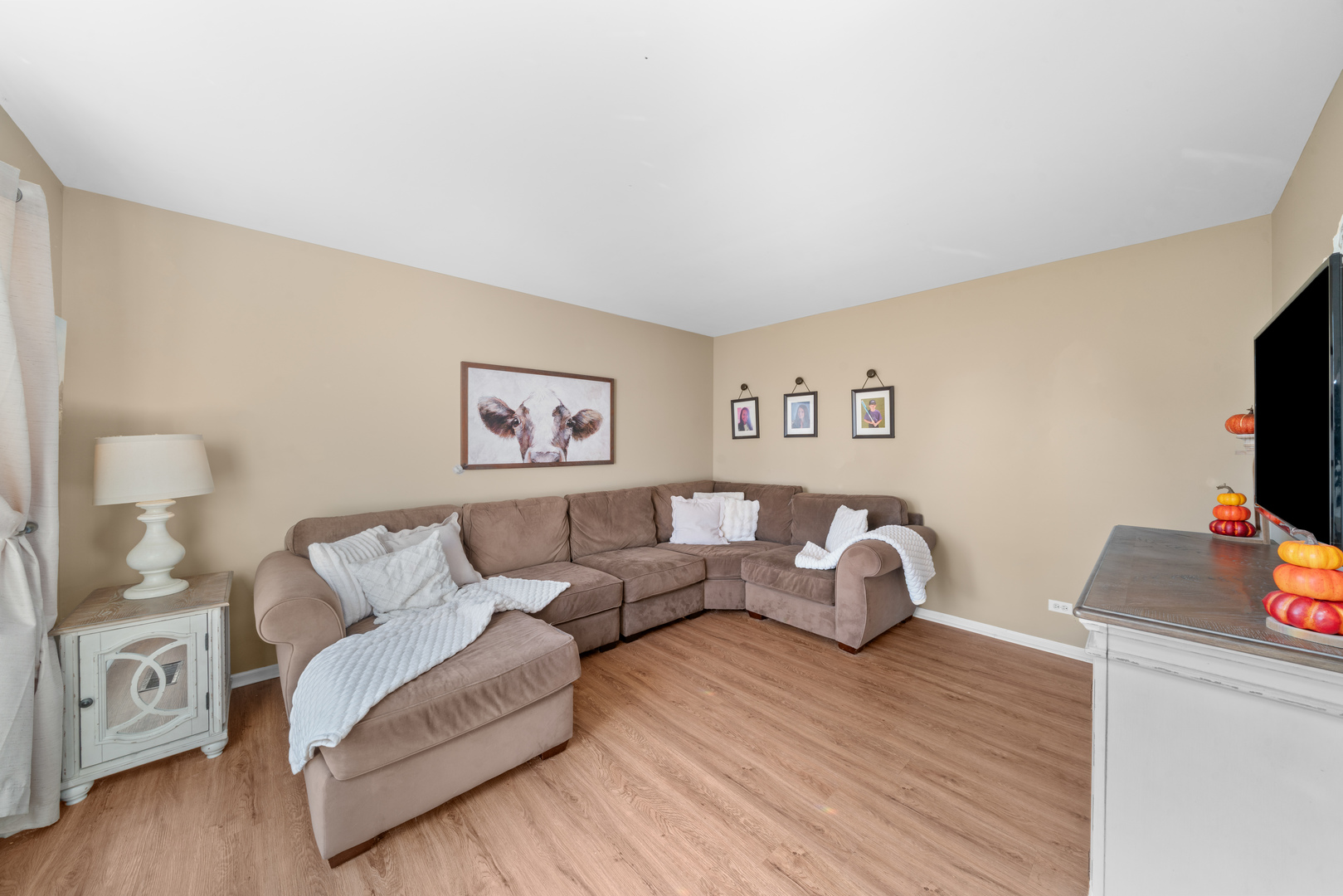 531 Alyssa Street Plano, IL 60545 - Photo 6 of 36