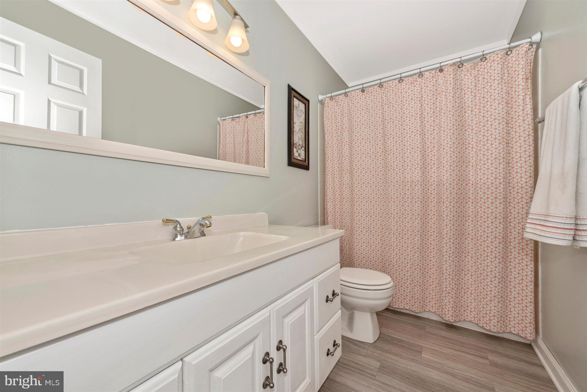13432 Old Annapolis Road Mount Airy, MD 21771 - Photo 17 of 30 Large Hall Bath