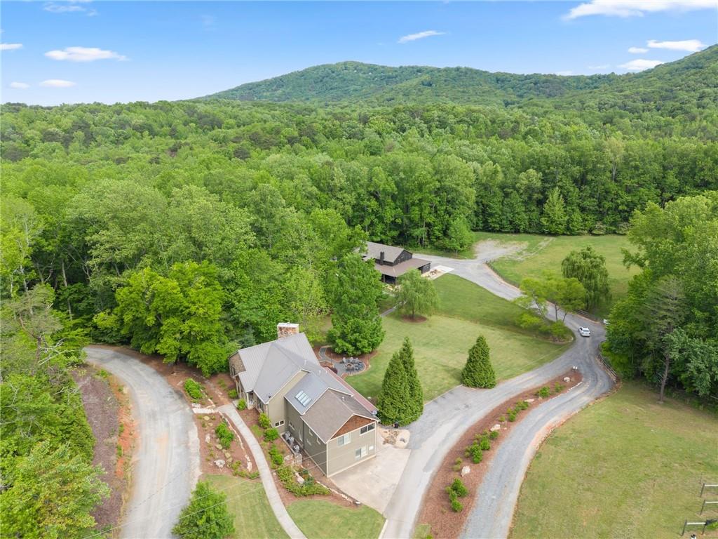 253 Happy Trails Way Jasper, GA 30143 - Photo 95 of 97