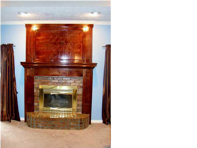 279 Parks Road Raymond, MS 39154 - Photo 12 of 33 Gas Fireplace
