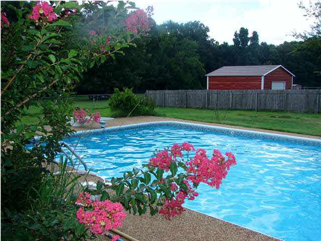 279 Parks Road Raymond, MS 39154 - Photo 8 of 33 Lovely landscaping