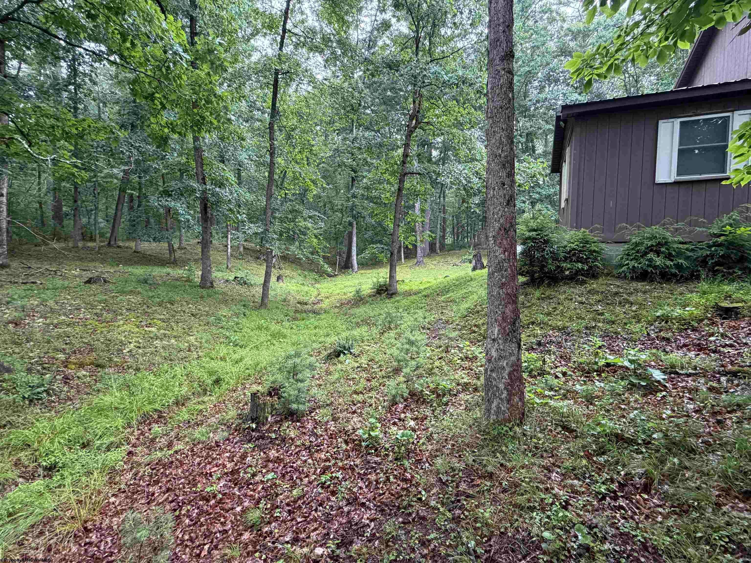 12447 Frost Road Dunmore, WV 24934 - Photo 5 of 34 Gallery Image 5