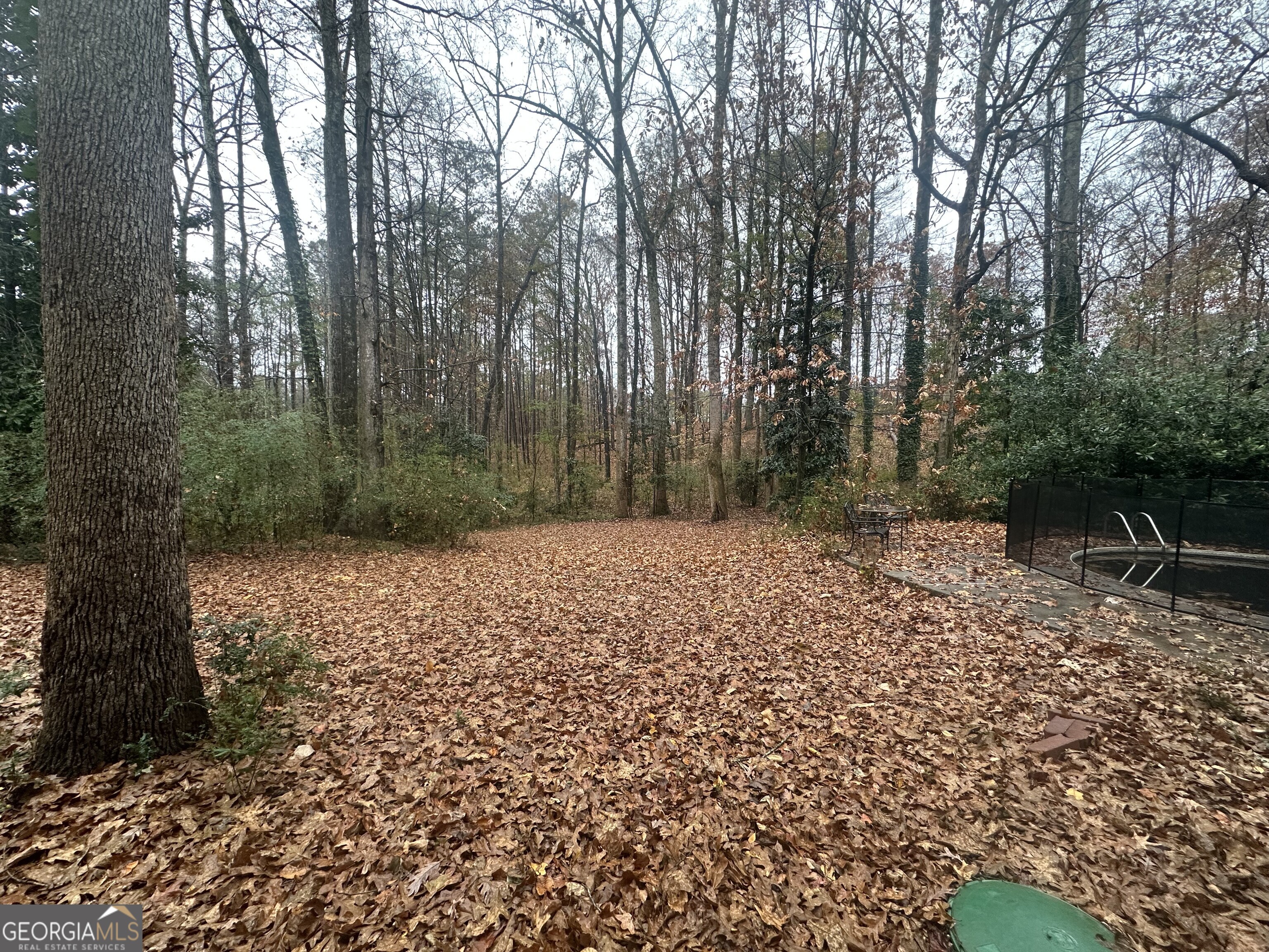 565 Patillo Road Stockbridge, GA 30281 - Photo 29 of 31 Backyard view to the side of the pool.