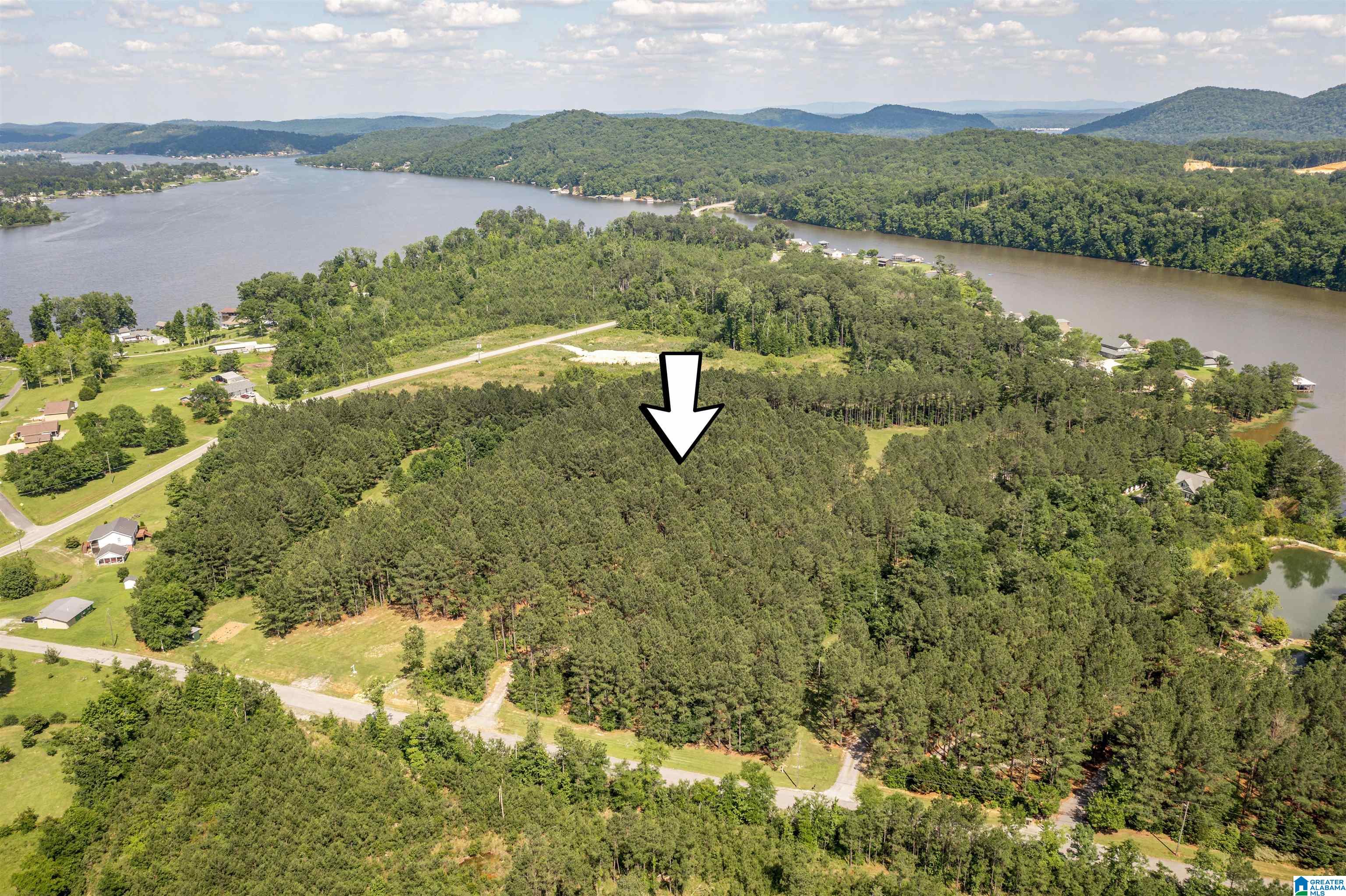 89 Golden Pond Road, Unit 9 Ashville, AL 35953 - Photo 24 of 35