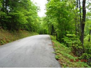 108 Dameron Ridge Road Erwin, TN 37650 - Photo 4 of 24 Street View