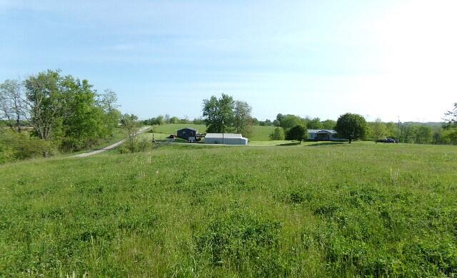2 Hwy 325 & R Sharon Road Worthville, KY 41098 - Photo 6 of 8