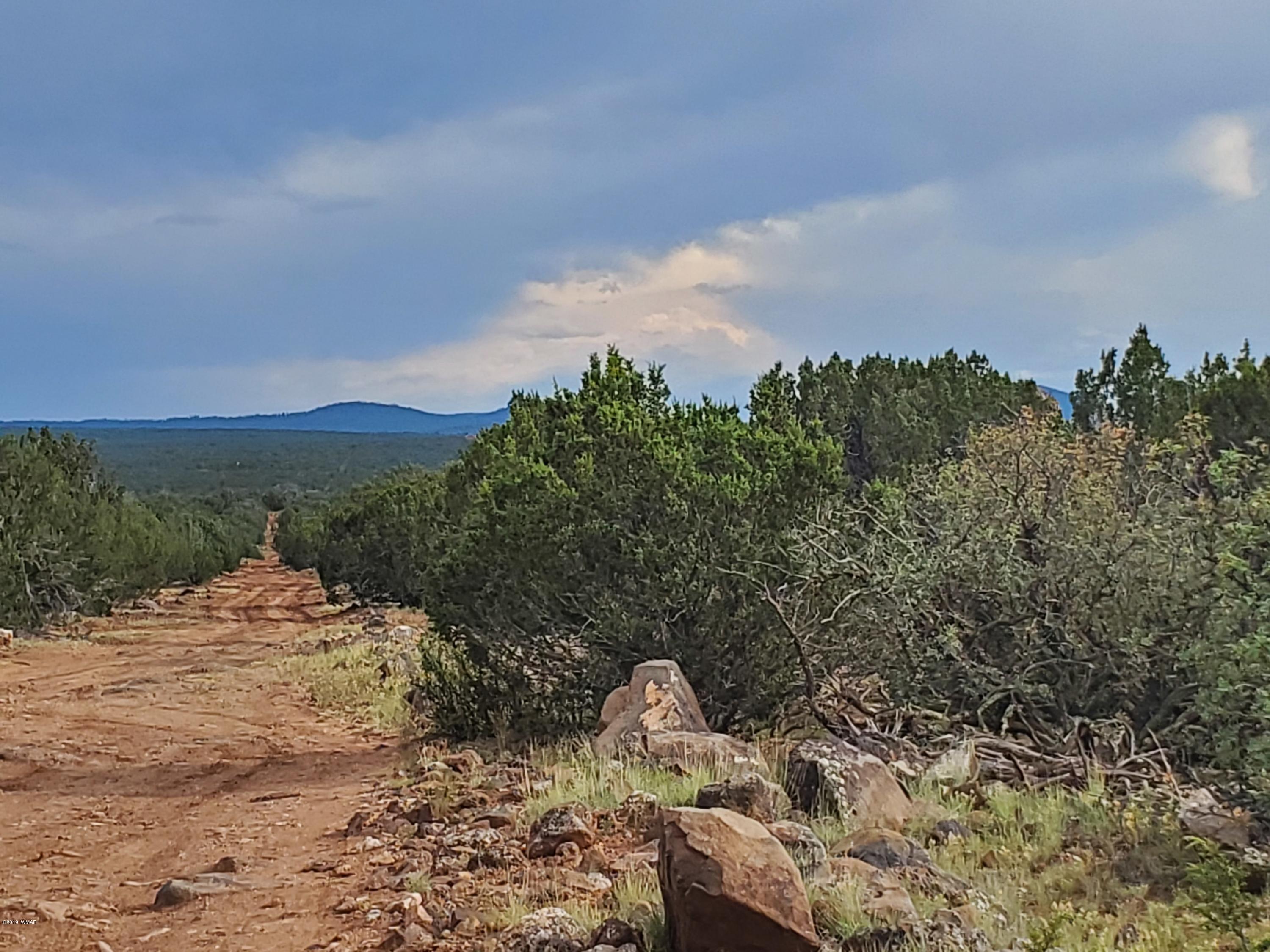 Lot 13 Ranch Road Taylor, AZ 85939 - Photo 1 of 12