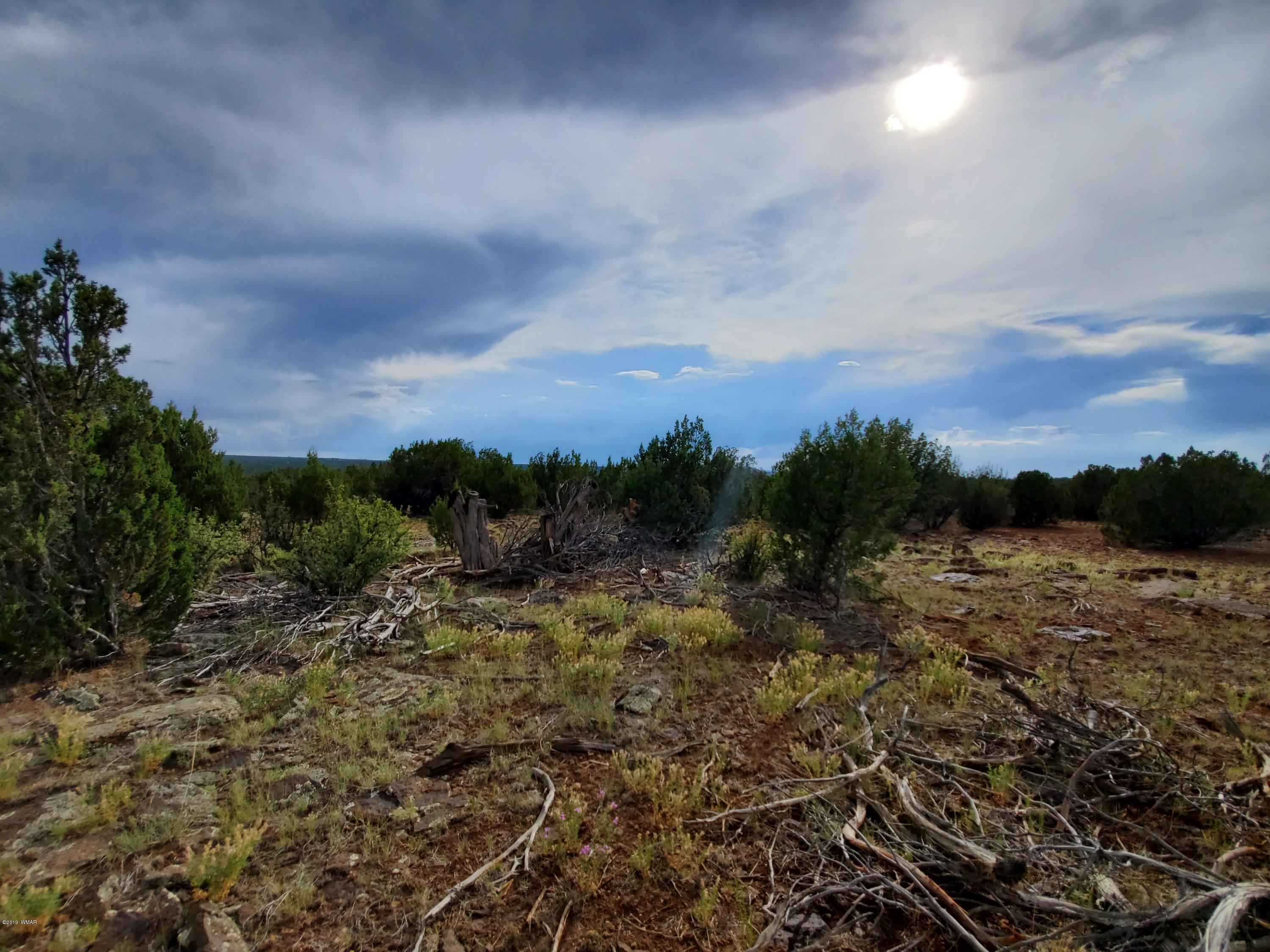 Lot 13 Ranch Road Taylor, AZ 85939 - Photo 11 of 12
