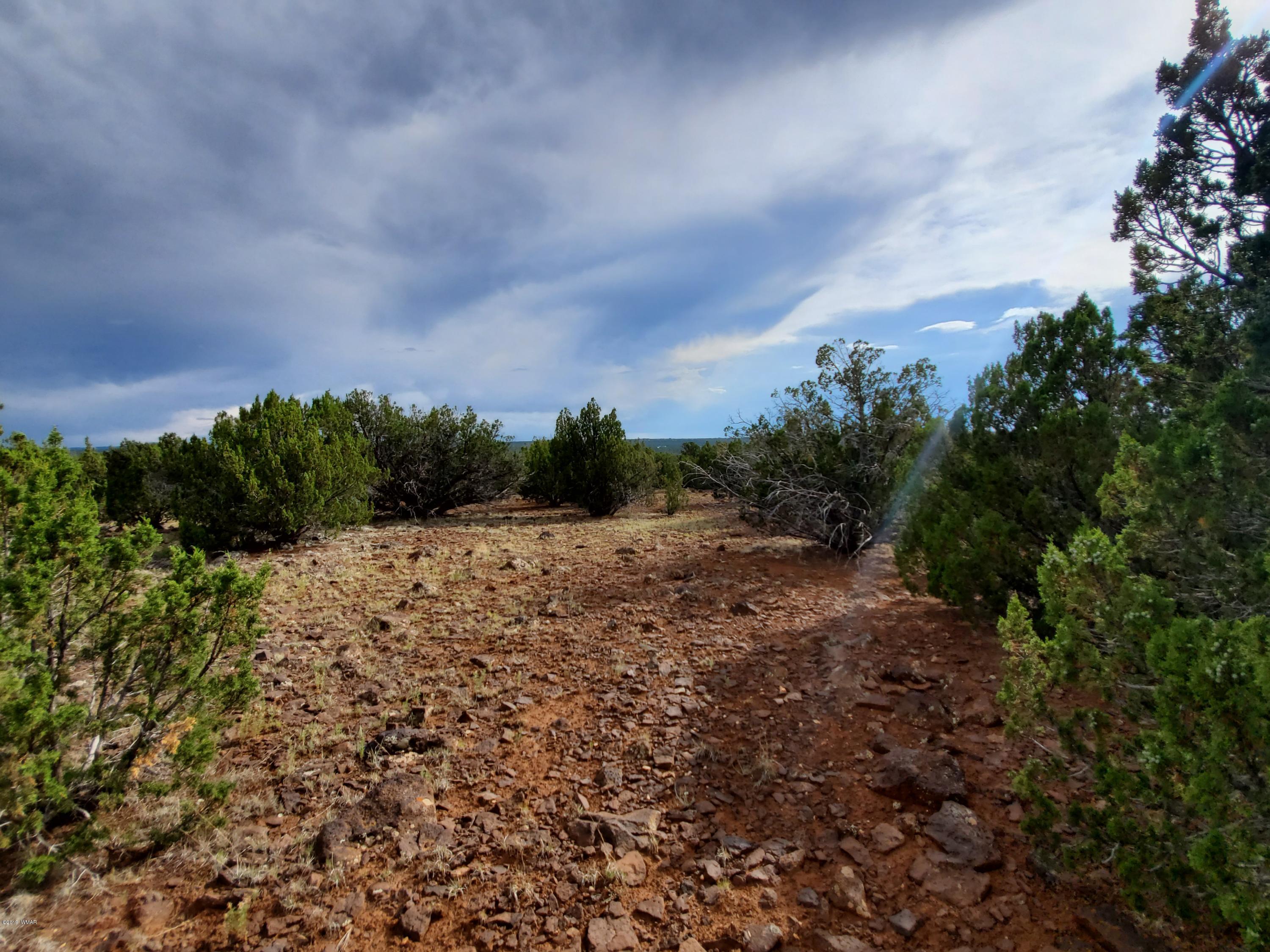 Lot 13 Ranch Road Taylor, AZ 85939 - Photo 12 of 12