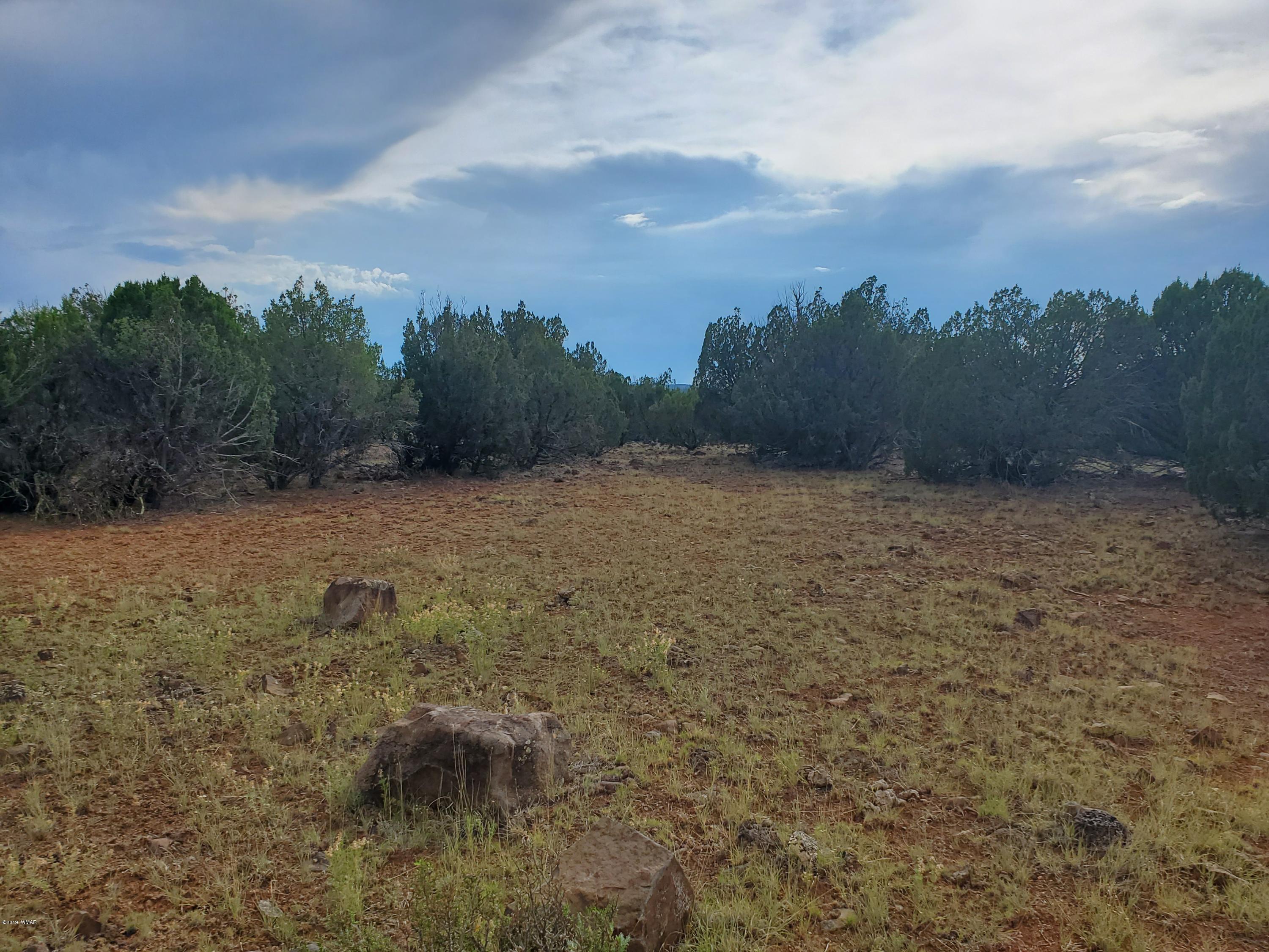 Lot 13 Ranch Road Taylor, AZ 85939 - Photo 2 of 12